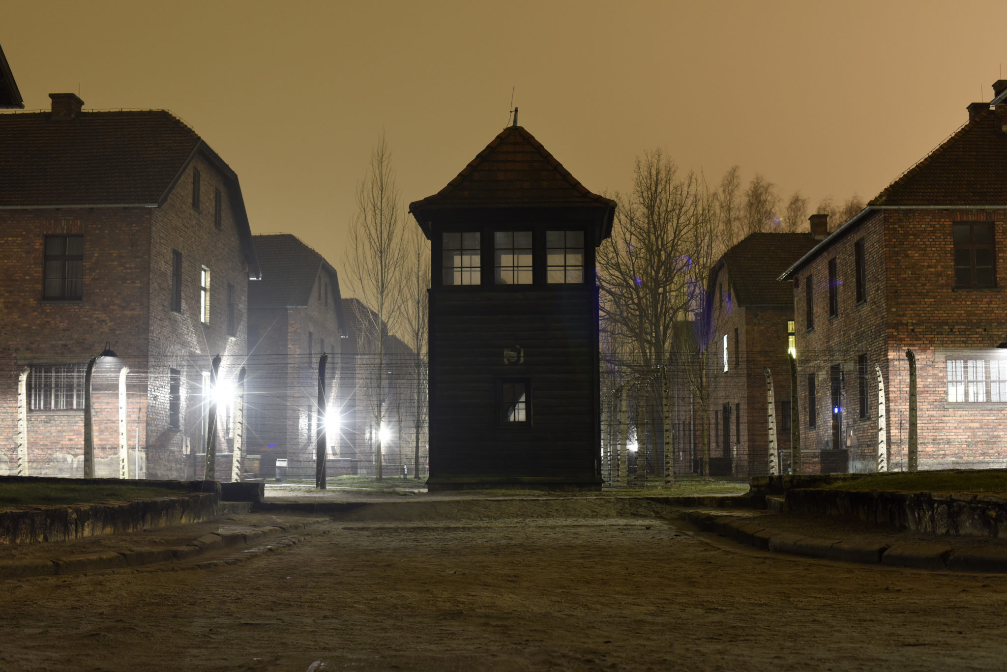 Auschwitz Porn